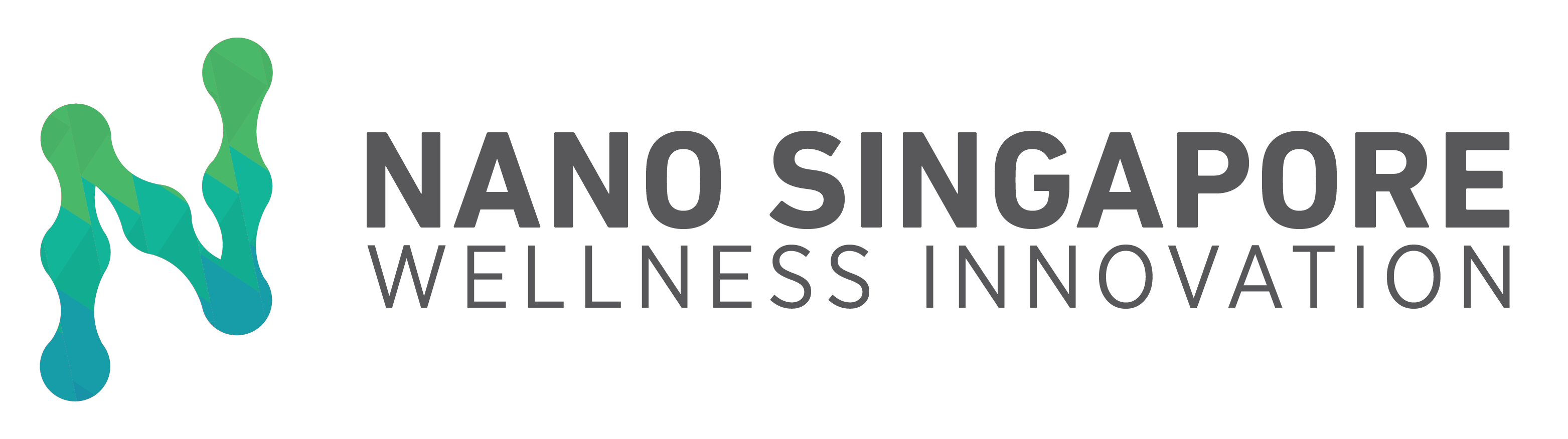 Nano Singapore